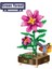 Yeşil Orman Bitki Yapı Oyuncak Buket Saksı Mini Bonsai Yapı Taşları Çiçek (Yurt Dışından) 1