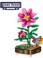 Yeşil Orman Bitki Yapı Oyuncak Buket Saksı Mini Bonsai Yapı Taşları Çiçek (Yurt Dışından) 4