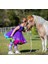 3-5 Yaş Arası Kızlar Için Mini Pony Çorapları, Yumuşak Kanatlı Sevimli Uzun Çoraplar Çocuk Çorapları (Yurt Dışından) 3