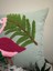 Punchhatolyesii Flamingo Model El Yapımı El Emeği Panch Punch Cagla Yeşili 43X43 2
