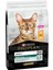 Proplan Adult Chicken Kedi 3kg Tavuklu Yetişkin Kedi Maması 1