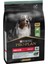 Proplan Medium Adult 3kg Kuzulu Köpek Sensitive Digestion Kuzulu Yetişkin Köpek Maması 1