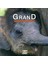 Devenir Grand Petit Elephant - Pierre Demoitie 1