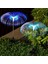 Jellyfish Solar Garden Lights Güneş Enerjili Bahçe Aydınlatması Denizanası Görünüm 1
