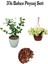 Ful Yasemin (30-60 cm)+Sarı Petunya Çiçeği (20-30 cm)+ 2 Lt Curf Dekoratif Taş 3'lü Peyzaj Seti 1