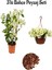 Beyaz Begonvıl (30-60 cm)+Sarı Petunya Çiçeği (20-30 cm)+Curf Dekoratif Taş 2 Lt Peyzaj Seti 1