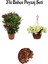 Kırmızı Zakkum (30-60 cm)+Sarı Petunya Çiçeği (20-30 cm)+ 2 Lt Curf Dekoratif Taş 3'lü Peyzaj Seti 1