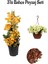 Sarı Begonvıl (30-60 cm)+Sarı Petunya Çiçeği (20-30 cm)+ 2 Lt Curf Dekoratif Taş 3'lü Peyzaj Seti 1
