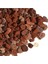 Sarı Begonvıl (30-60 cm)+Sarı Petunya Çiçeği (20-30 cm)+ 2 Lt Curf Dekoratif Taş 3'lü Peyzaj Seti 4