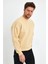 Vizon Sweatshirt Oversize Sweatshirt Erkek Bisiklet Yaka Sweatshirt 2