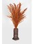 Lüx Siyah-Bronz Ahşap Vazodo Turuncu Pampas Çiçeği 42 cm 1