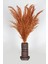 Lüx Siyah-Bronz Ahşap Vazodo Turuncu Pampas Çiçeği 42 cm 2