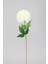 Yapay Çiçek Lüx Top Kasımpatı Dalı 60 cm Beyaz 2