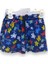 Erkek Çocuk Renkli Tortoise Temalı Deniz Şortu 1