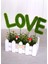 Dekoratif Çit Saksıda Love Dekoru 1