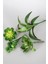 Yapay Succulent Sukulent Set - 28 2