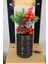 Ahşap Vazolu Yapay Yılbaşı Süsü 30 cm 1