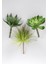 Yapay Succulent Sukulent Set - 3 1