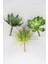 Yapay Succulent Sukulent Set - 3 2
