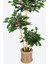 Yapay Benjamin Ağacı 115 cm 3lü Bambu Gövdeli Yeşil (Ahşap Saksı) 3