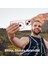 Iphone 13 Şeffaf Pc+Tpu Telefon Geri Morası Için ile Uyumlu Manyetik Kasa Telefon Kılıfı (Yurt Dışından) 2