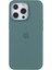 Iphone 15 Pro Max Case Comp Comat Telefon Geri Kabuk Koruyucusu Yeşili Için Silikon Telefon Kılıfı (Yurt Dışından) 2