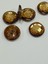 Trençkot Ceket Düğmesi Italyan Düğme 6'lı Set Hardal 2,5 cm D2001 3