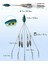 Bas Stripers Balıkçılık Için Alabama Şemsiye Kuleleri, Tatlı Su Balıkçılığı Swimbait Lures Rig Kiti, Mavi (Yurt Dışından) 2