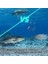 Bas Stripers Balıkçılık Için Alabama Şemsiye Kuleleri, Tatlı Su Balıkçılığı Swimbait Lures Rig Kiti, Mavi (Yurt Dışından) 3
