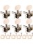 6 Adet Akustik Gitar Teli Tuning Peg Tuner Makine Kafası (Yurt Dışından) 1