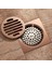 E 10X10CM Tarzı Gül Altın Yer Sifonu Kare Pirinç Drenaj Tuvalet Balkon Banyo Duş Anti-Koku Drenajları Kiremit Ekleme Hıdeep (Yurt Dışından) 5