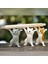 Kahverengi Kedi Stili 1 Adet Büyüleyici Kedi Kalemlik Siyah Kedi Taşıma Tabut Braketi Sevimli Dekorasyon El Yapımı Ev Dekorasyon Paskalya Dekorasyon Oyuncak (Yurt Dışından) 5