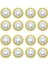 16 Adet W10112253 Mikser Sonsuz Dişli Yedek Parça Kitchenaid Mikserler Için Mükemmel FIT-4162897 4169830 AP4295669'UN Yerini Alır (Yurt Dışından) 1
