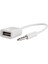 Livecity Araba Oto USB Dişi 3.5mm Jack Aux Erkek Ses Kablosu Dönüştürücü Uzatma Kablosu (Yurt Dışından) 4