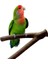 20CM Tarzı Pet Papağan Kuş Ayakta Sopa Ahşap Kutup Kuş Papağan Parakeet Tünemişler Bite Pençe Taşlama Oyuncak Kuş Kafesi Aksesuarları (Yurt Dışından) 2