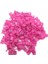 Pembe Stil 4,5 mm 50 Takım Iç Kuş Güvercin Güvercin Papağan Bacak Yüzükler Küçük Kuşlar Ayak Yüzükler Kuş Klip Yüzük (Yurt Dışından) 1