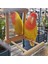 Stand-3 Tarzı Levrek ile Kuş Ayna, Kuş Levrek Ayna Oyuncak Papağan Parakeets Cockatiels Kafesi Için Kuş Oyuncak Standı (Yurt Dışından) 3