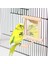 Diğer Stil Levrek ile Kuş Ayna, Kuş Levrek Ayna Oyuncak Papağan Parakeets Cockatiels Kafesi Için Kuş Oyuncak Standı (Yurt Dışından) 2