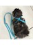 Tip 1 Stil Pet Kuş Yelek Tasma Açık Uçan Anti-Bite Naylon Ayarlanabilir Kuş Eğitim Yürüyüş Tasma Ipi Pet Yürüyüş Tasma Ipi (Yurt Dışından) 4