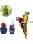 Sarı Stil S Beden Kuş Papağan Bezi Uçuş Suit Nappy Giysileri Yeşil Yanak Conure Parakeet Cockatiels Güvercinler Orta Büyük Pet Kuş (Yurt Dışından) 3