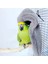 Gri Stil L Beden Kış Sıcak Kuş Şal Yuva Köşe Papağan Battaniye Pet Küçük Hayvan Parakeet Cockatiel Için Asılı Çadır Kafes Dekorasyon (Yurt Dışından) 4