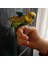 Mor Tarzı No.3 Boyutu Küçük Orta Kuşlar Için Pet Papağan Koşum Açık Elastikiyet Uçan Tasma Papağan Budgie Lovebird Güvercinler Aksesuarları Açar (Yurt Dışından) 4