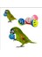 Rastgele Renk Stili Pet Papağan Oyuncak Kuş Içi Boş Çan Topu Parakeet Cockatiel Chew Eğlenceli Kafes Oyuncakları (Yurt Dışından) 2