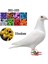 Koyu Mavi Stil Açılış Güvercin Ayak Halkası Sökülebilir Plastik Işaretleme Sayısal Güvercin Ayak Halkası Evcil Hayvan Kuş Malzemeleri Işaretleme Tanımlama Halkası (Yurt Dışından) 2