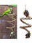 G Tarzı Papağan Halat Asılı Örgülü Muhabbet Kuşu Çiğneme Halatı Kuş Kafesi Papağan Oyuncak Pet Standı Eğitim Aksesuarları Conure Salıncak Malzemeleri 50 cm (Yurt Dışından) 2