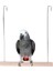 L Tarzı Pet Kuş Papağan Parakeet Köprüsü Papağan Ahşap Hamak Salıncak Standı Asılı Oyuncaklar Dro (Yurt Dışından) 2