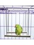 L Tarzı Pet Kuş Papağan Parakeet Köprüsü Papağan Ahşap Hamak Salıncak Standı Asılı Oyuncaklar Dro (Yurt Dışından) 4