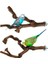 Çatallanma Stili Pet Papağan Kuş Ayakta Sopa Yabani Üzüm Ahşap Kutup Kuş Papağan Parakeet Tünemişler Bite Pençe Taşlama Oyuncak Kuş Kafesi Aksesuarları (Yurt Dışından) 3
