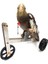 Bir Stil Komik Papağan Mini Metal Bisiklet Oyuncak Kuşlar Eğitim Oyuncak Muhabbet Kuşu Papağan Conure Eğitim Interaktif Sahne (Yurt Dışından) 4
