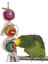 F Stili Papağanlar Oyuncaklar ve Kuş Aksesuarları Pet Oyuncak Salıncak Standı Budgie Parakeet Kafesi Afrika Gri Vogel Speelgoed Parkiet (Yurt Dışından) 3